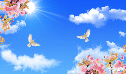 美女翻剧 一颗种子的成长记