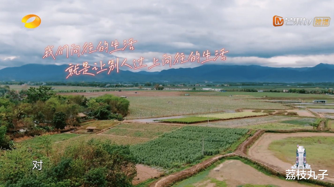 薇娅@向往的生活：薇娅的直播间原来长这样，连路由器都不一般