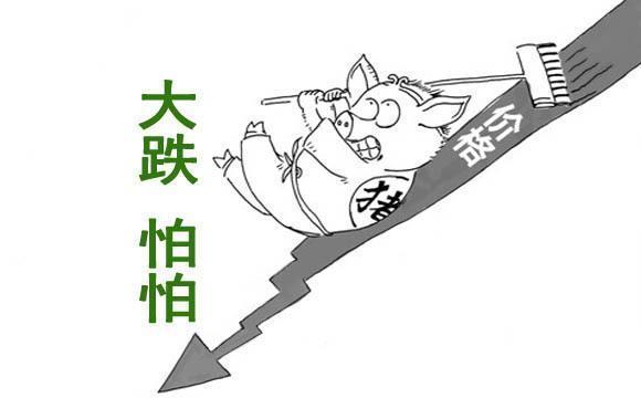 生猪价格|10月9日：泪奔！白条肉剩货较多，猪市全面暴跌（附今日猪价）