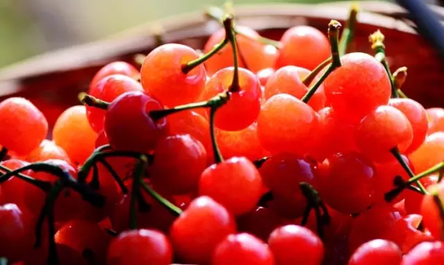 []立夏面饵钓草鲤 | 立夏之后钓鱼的五个选择