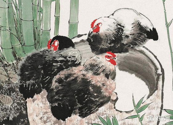 生肖|用心去经营人生,越老越有发展前景的三大生肖,职场赢家