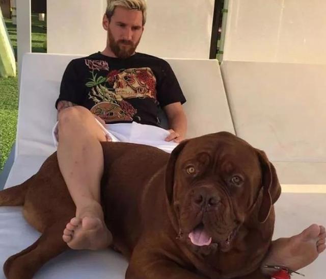 梅西|幸福！梅西又有礼物了：妻子宣布家里再添1名新成员