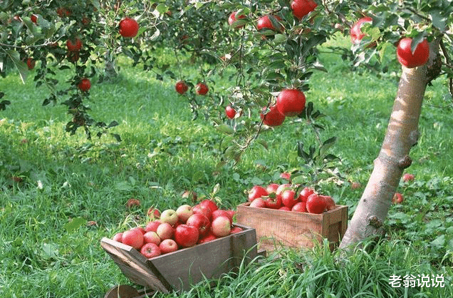 电子商务@电商卖家坦言：不要在网上购买这些商品，不然吃亏的是你自己！