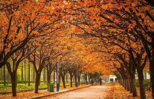 「东南大学」国内最“低调”的2所985院校，适合考生“捡漏”，考到就是赚到！