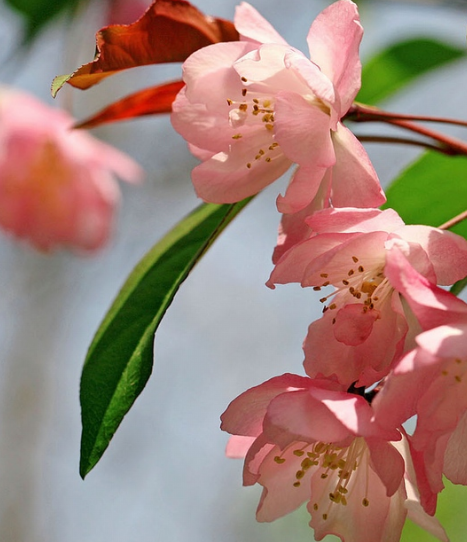 吉星|7月30日开始,4属相吉星降临,桃花上佳,机遇多多,顺风顺水