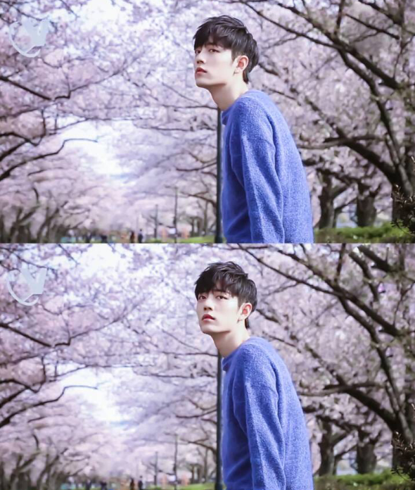 「肖战」“不需要应援”到底有多正能量，肖战的清流体质越来越明显