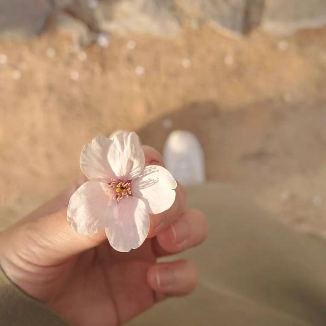 【】韩国30岁单身女孩，公开独居十年的公寓火遍油管：自由工作的日子，真的太爽了