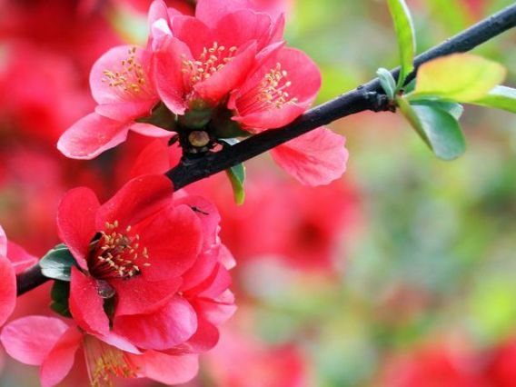 天蝎男|进入8月份，4属相运势蒸蒸日上，家中喜讯不断，生活更美好