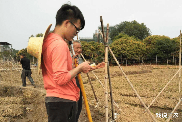 土地承包|土地承包关系再延长30年不变,无地农民咋办?2种办法,记得申请