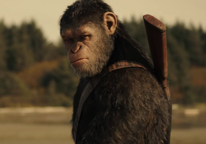 黑猩猩|美国发现一基因变异猩猩，进化出了与人类相似的手指，它会持续进化？