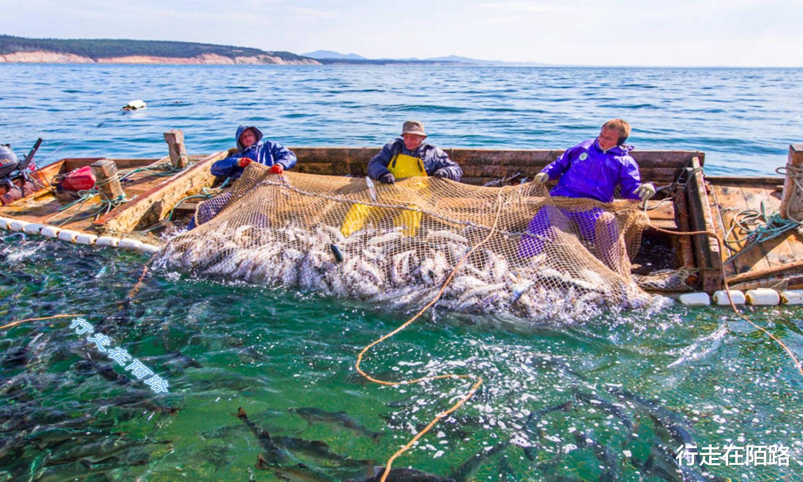 原住民|探秘库页岛：一年下雪八个月，当地人不敢聊原住民的话题
