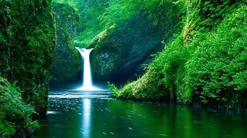 林彪|火葬也许会被废除？武汉已经实施新方法，多人看后无法接受