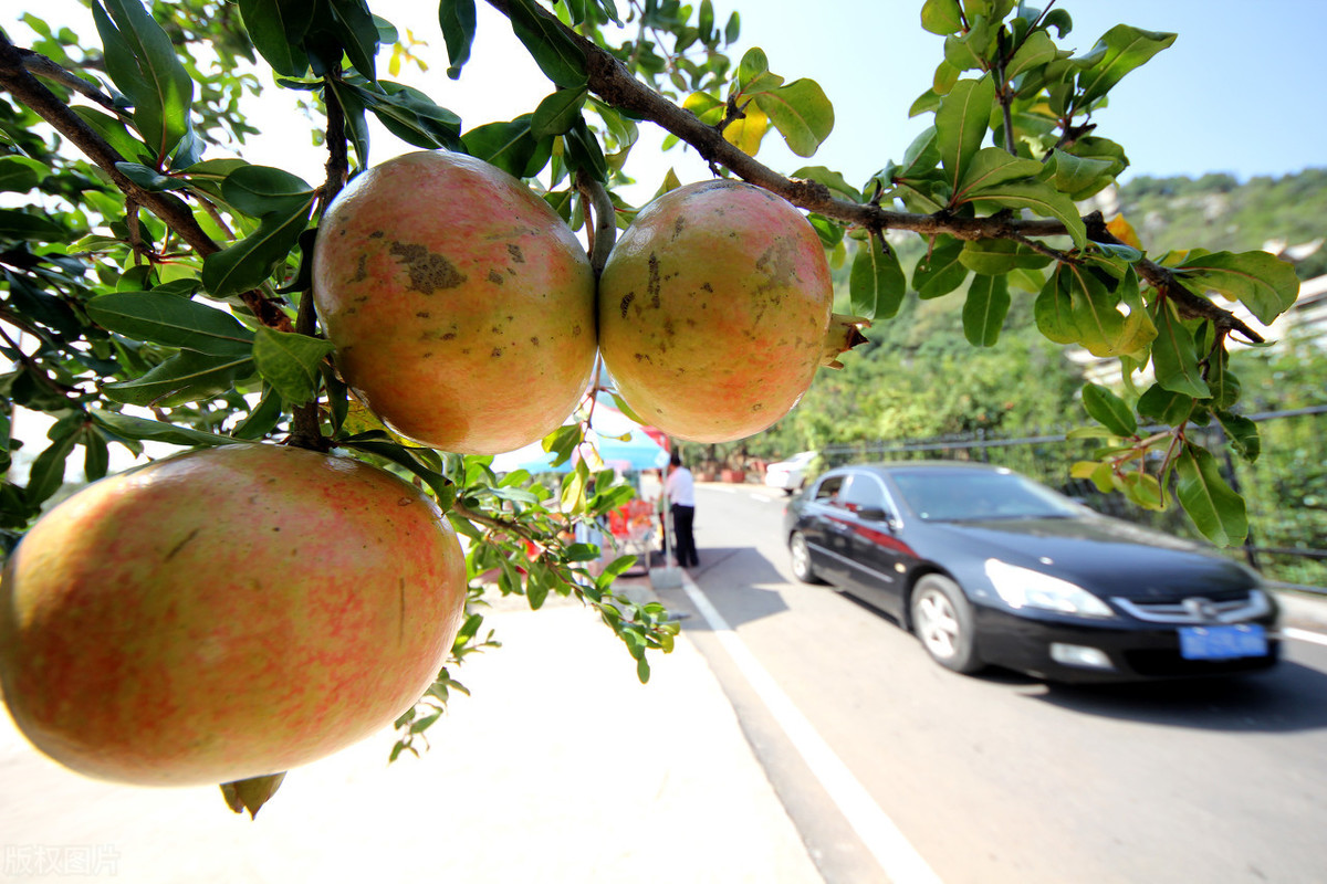 美国|2020.7.18 早晨 世界发生了什么