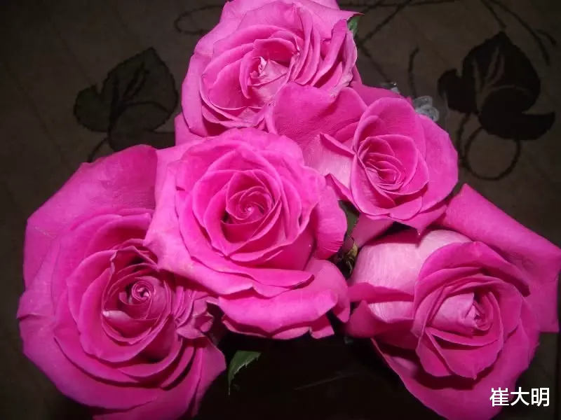 生肖|近期，桃花洒满天，巧遇良缘，喜获真爱，四生肖准备要脱单！