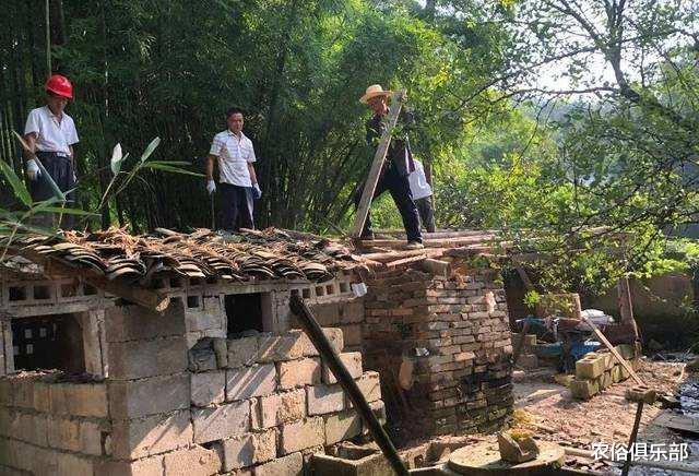 「」厕所和猪圈不能建在屋外？农村这项改造，你们村实现了多少？