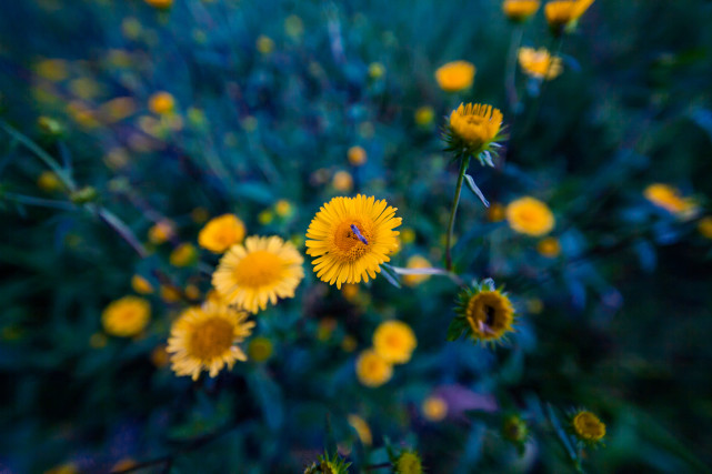 旧爱|对前任执念很深的星座，难忘旧情，迟迟不愿醒来，过不去从前的坎