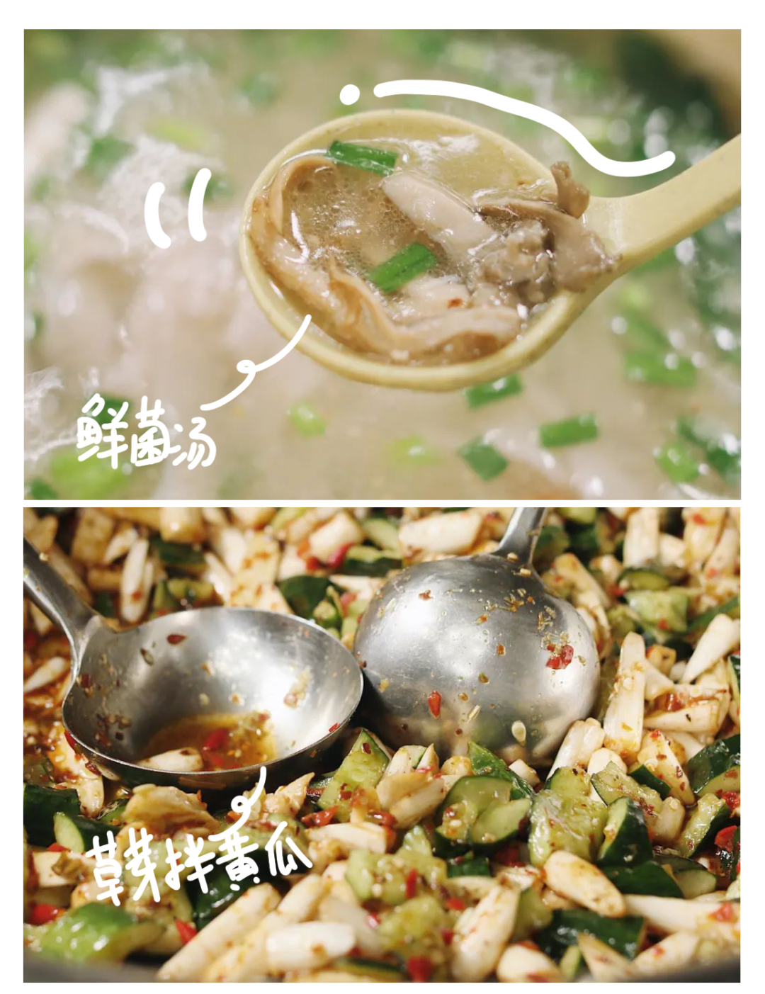 云南|我去了趟云南，当地人给我炖了一锅毒菌子