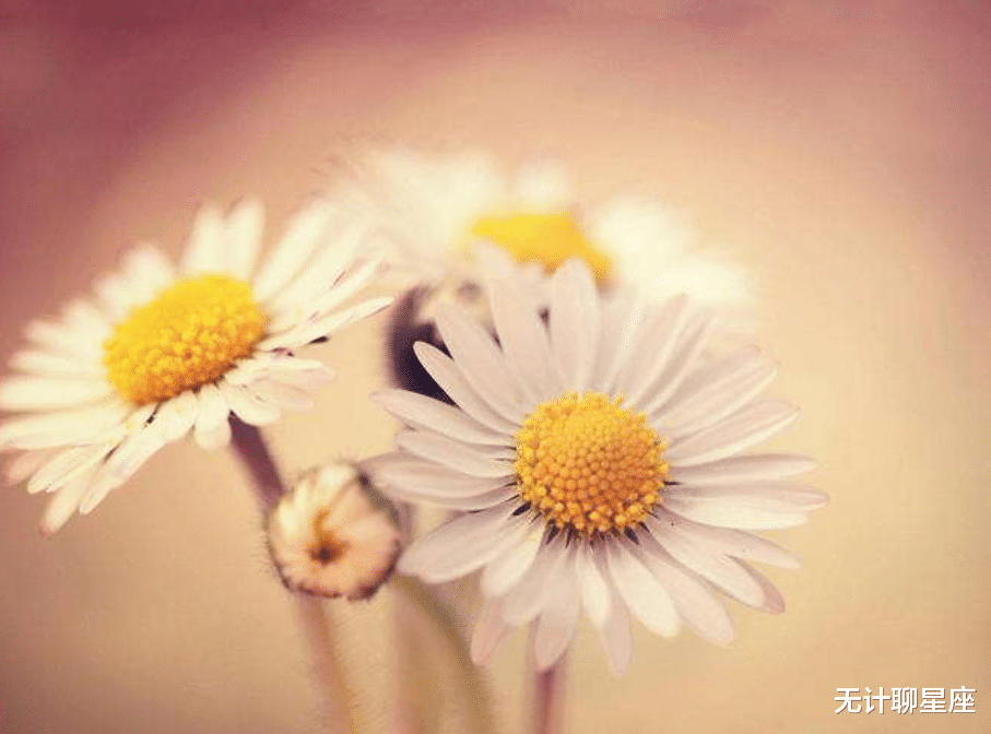 |未来一个月，这4个星座职场出现新机会，抓住就会走好运