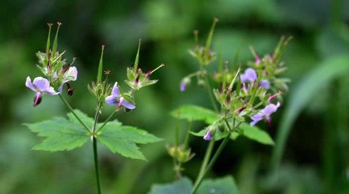 运势|9月开始运势稳定不缺钱，事业攀升，闷头数钞票的四大生肖