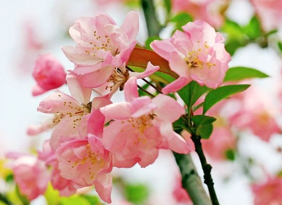 生肖|进入8月份,运势好转,4属相招财添贵旺家业,美梦成真,日子甜蜜