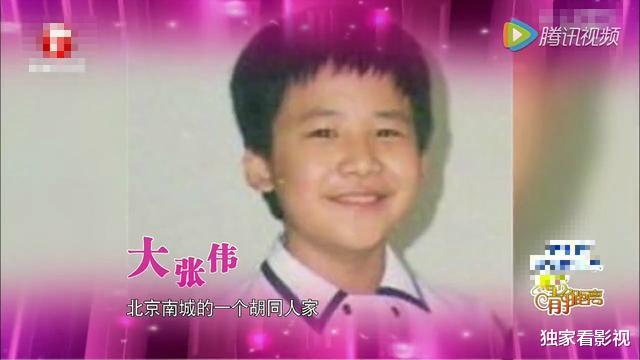 大张伟|打不过女友的大张伟隐婚5年，因分手大哭到休克，为何拒绝生孩子