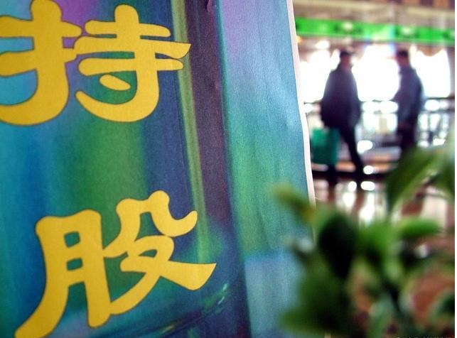 「」到底持有几只股票才算合理