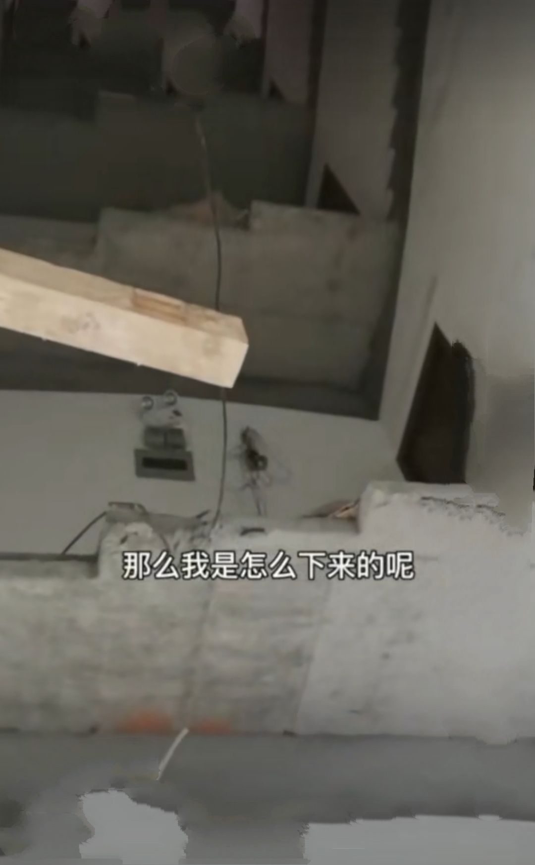 「」浙江奇葩租房事故，5楼开门发现楼梯被拆，租客：房东都没通知我们