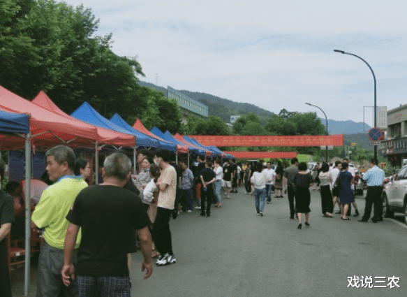 ▲农民注意？7月起，村委带头整顿4大乱象？力度很大？牵涉到你吗？