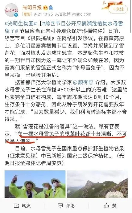 极限挑战|一个节目的底线在哪？《极限挑战》惹怒14亿人