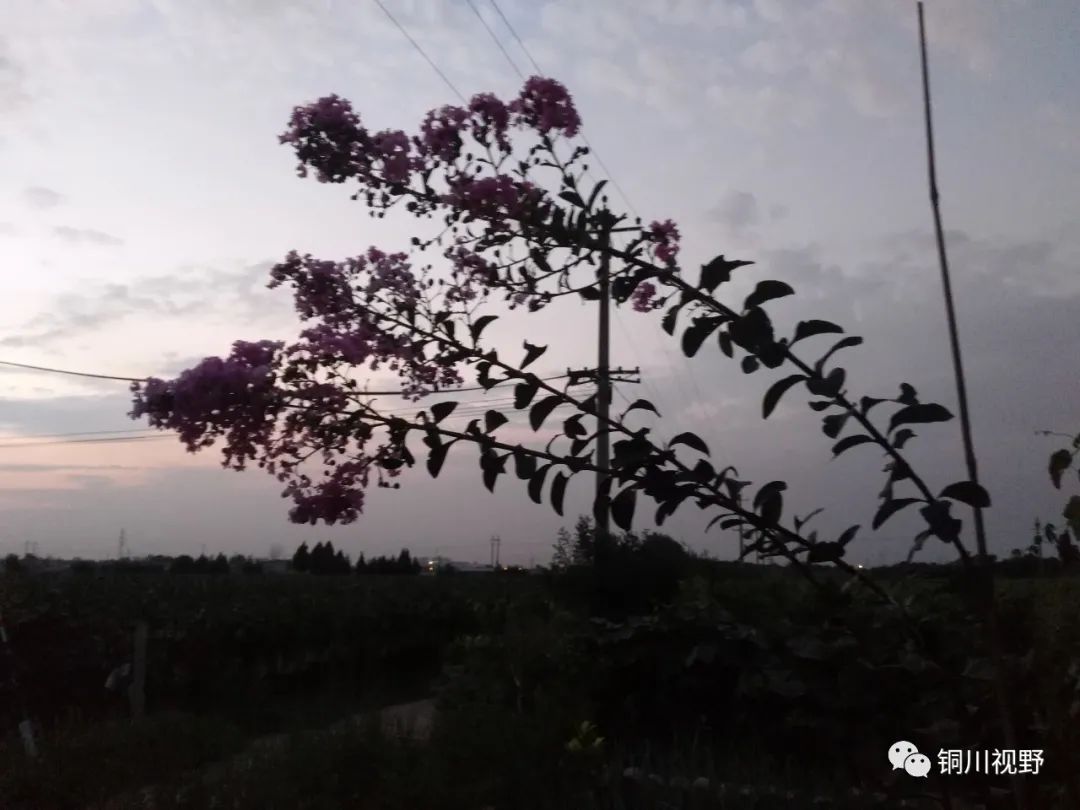 铜川周春辉 终南山下美丽乡村，余下镇后寨村