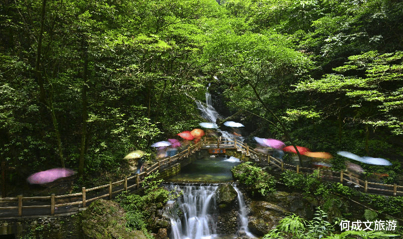 重庆▲重庆5A级地质公园，曾被誉“西南神农架”，距解放碑4小时车程