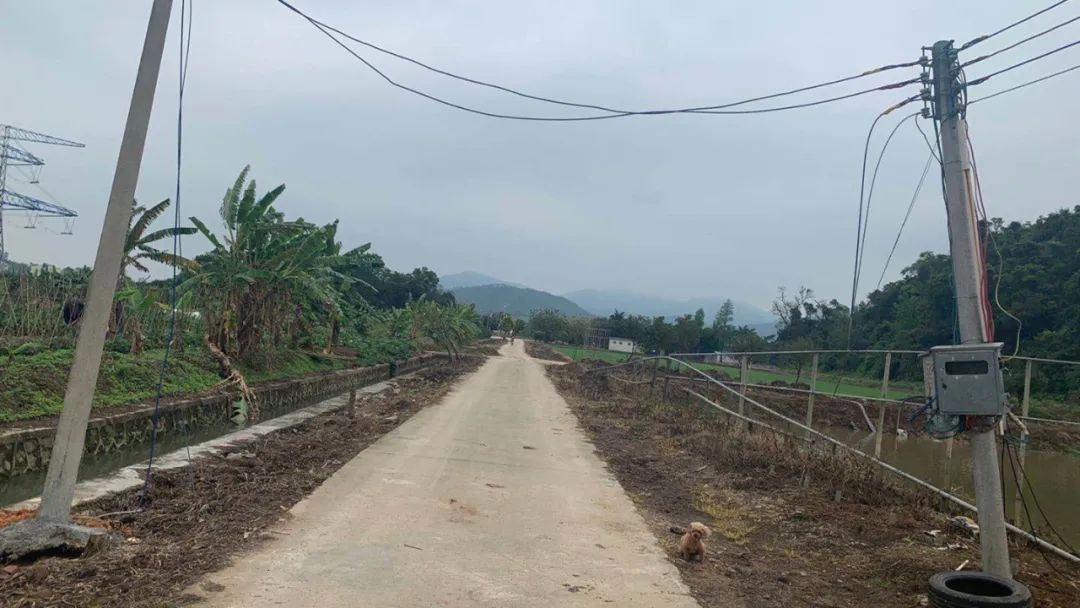 ：男子开车撞断斗门电线被村民团团围住！害鱼塘断电被拘20天……