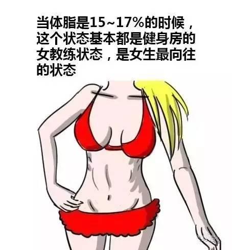 :如何把体脂率减到可以看见六块腹肌?