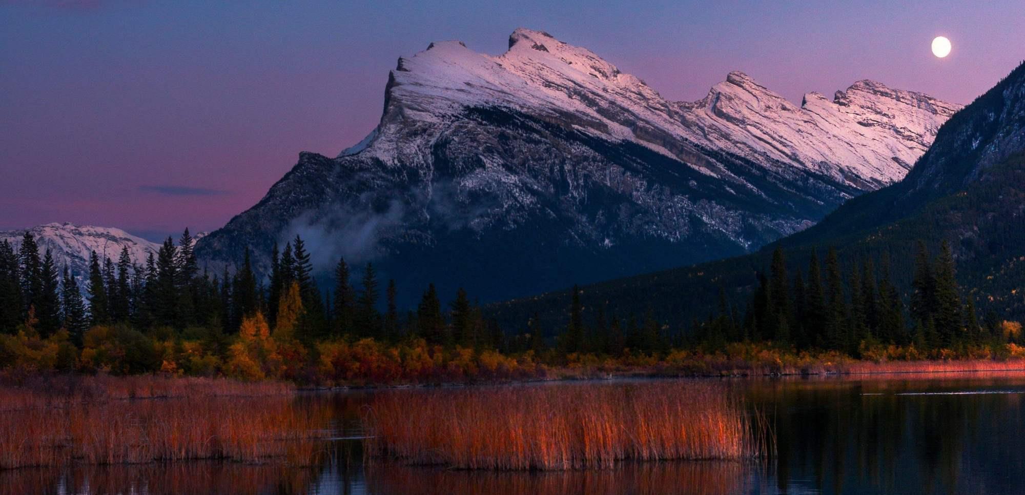 金牛座|8月爱情迅速回归，前任再次来到感情正位，和好如初的三星座