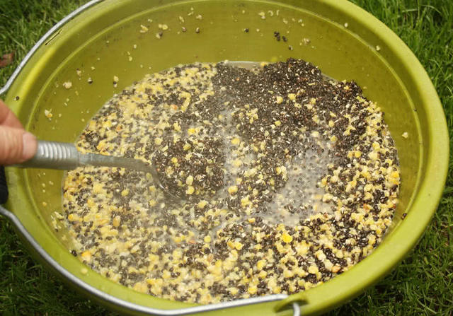 「」五一快乐：准备垂钓攻略，让你满载而归