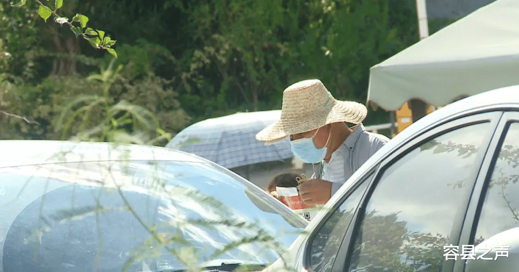容县之声|广西某景区有人刚下车就被蚂蚁咬伤送医抢救，景区：我没责任