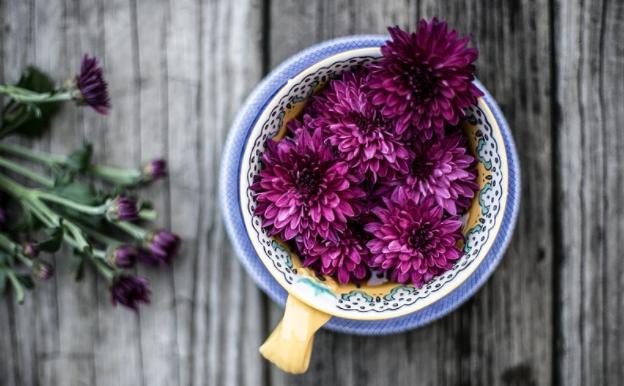 生肖|9月中旬，吉祥又如意，得财又得福，终将出人头地的4大生肖