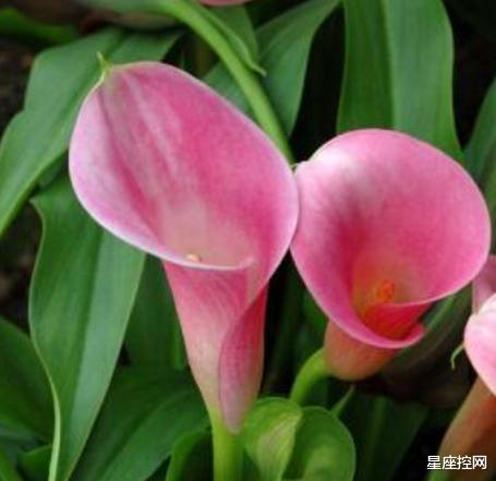 |出生在哪些时间的人,先天不足,后天弥补,一步一脚印,拼出未来