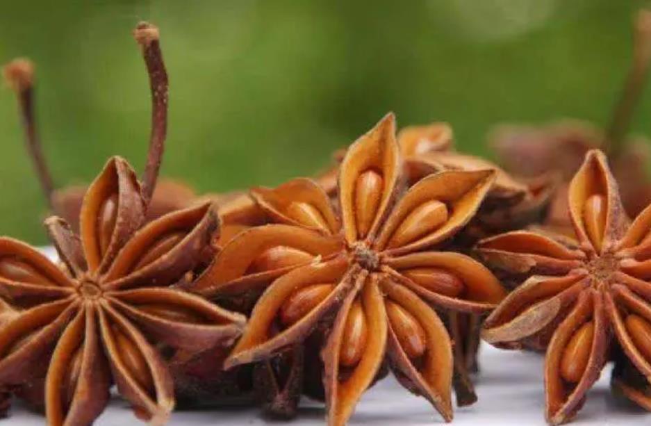 ▲八角和白酒混在一起，解决了好多人的大难题，不知道的亏大了！