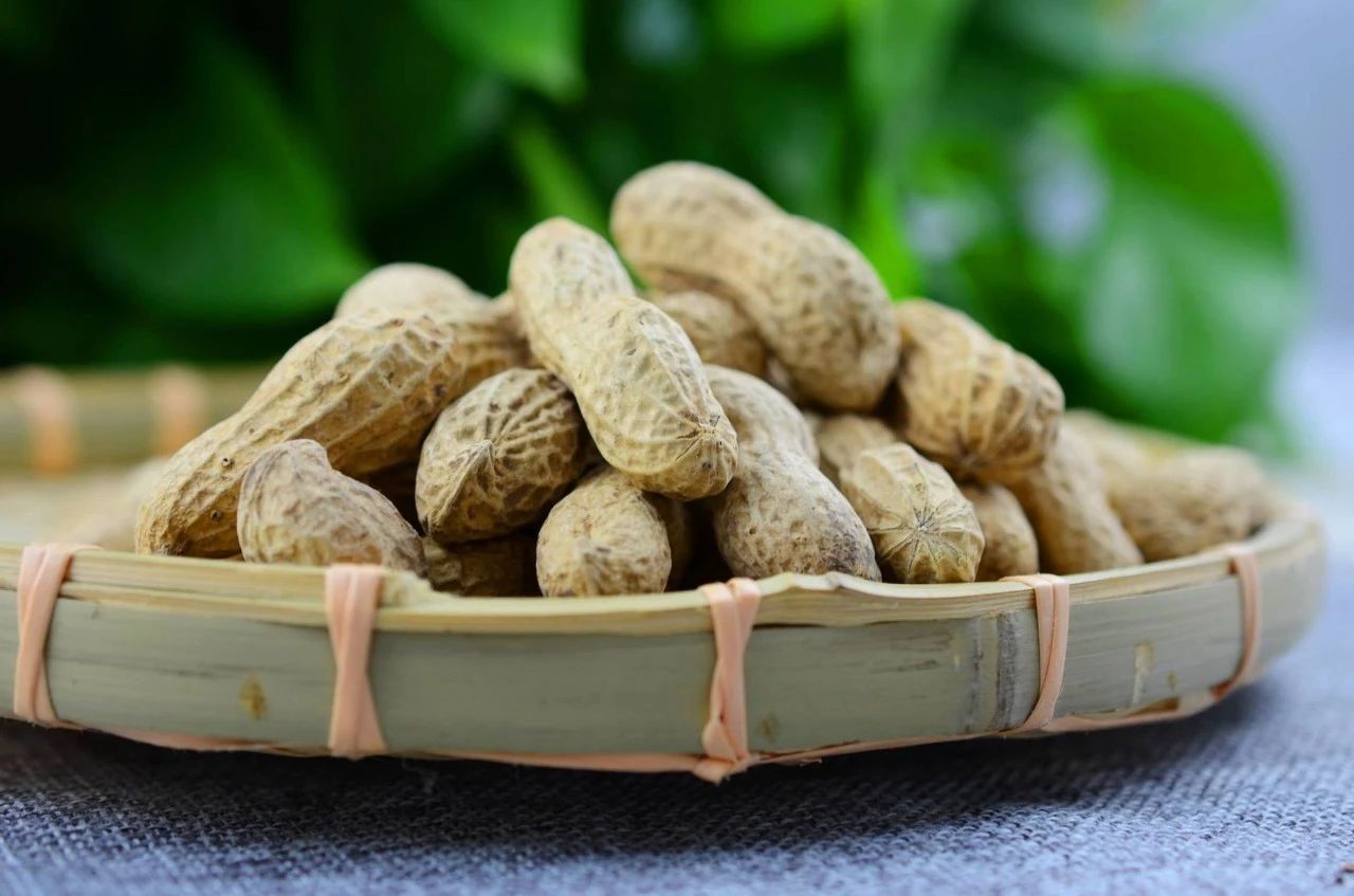 花生|花生和它一起煮，胜吃无数补药！长寿果就要这样吃