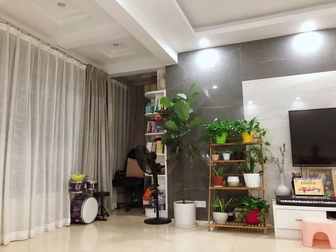 绿植怎么种更美？多种几盆，摆上架子，美出天际！