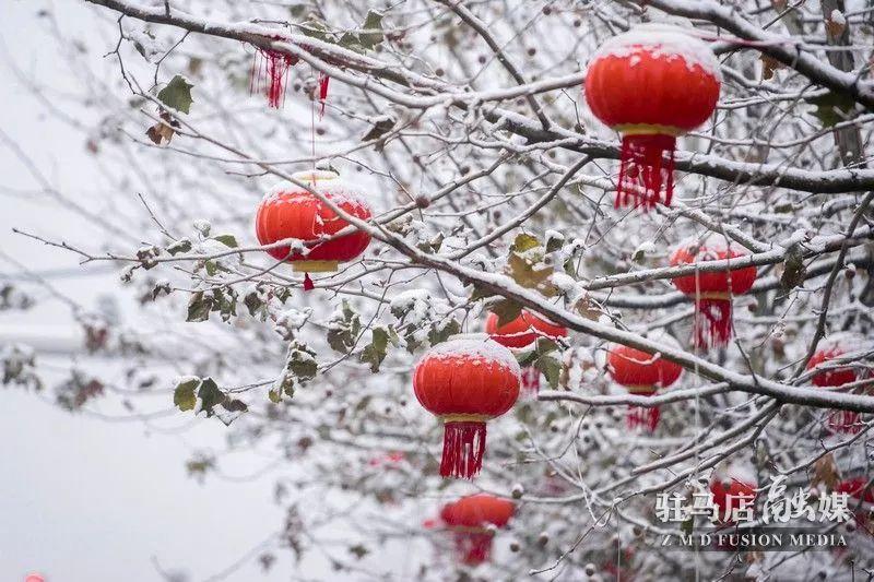 昨天正阳大雪刚拍的照片，太美了！