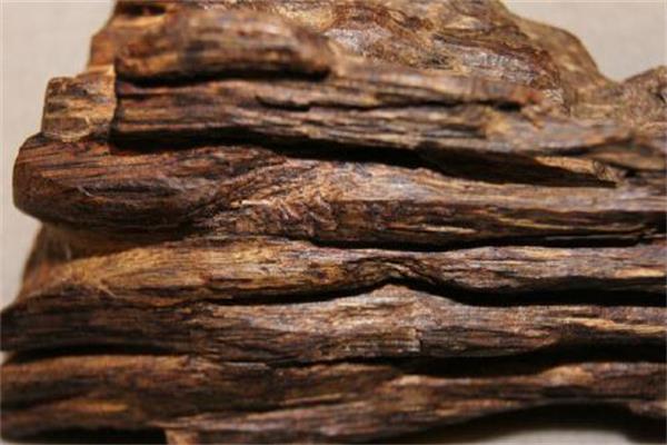 「沉香」沉香和沉香木的区别鉴别大全