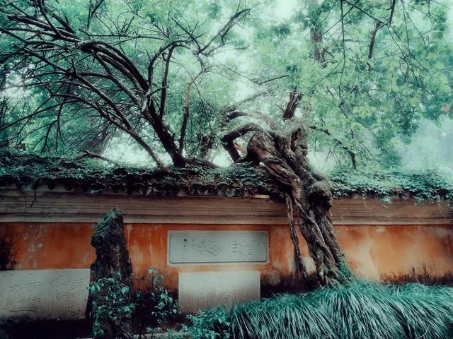 寺庙|中国最“亏本”的景区：不仅免门票，住宿才25元，2块钱吃饭管饱