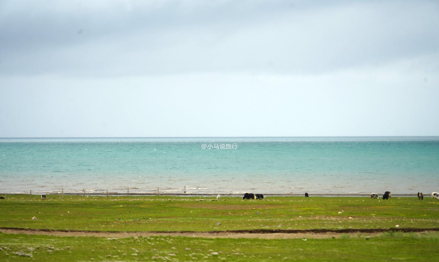 旅行|中国最值得暑假去的旅行线路，几乎覆盖西北所有景色，后悔去晚了