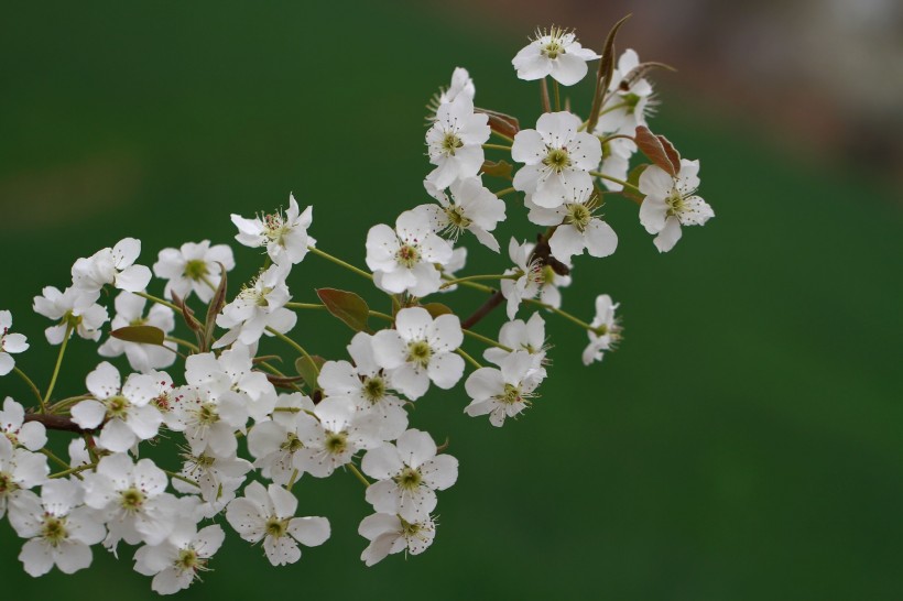 旧爱|8月份遇见爱情，桃花接连不断的四个星座，爱情修成正果！