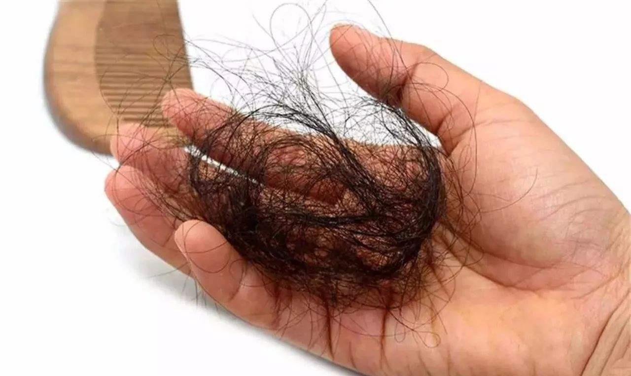 复古|蜂窝头配奶奶毛衣，宋祖儿变身复古挂历女郎，浓密的发量让人羡慕