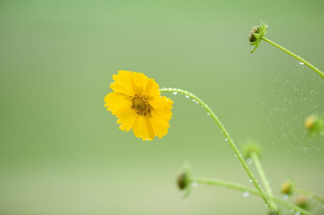 十二星座|职场中，“吸金”能力很强的星座，有贵人相助，注定能成大器