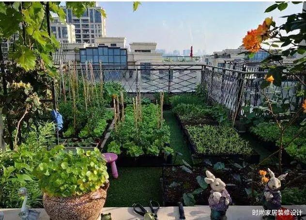 【购房置业】买房就要买顶楼，空气好又不会吵，还能多出一个这么漂亮的露台！