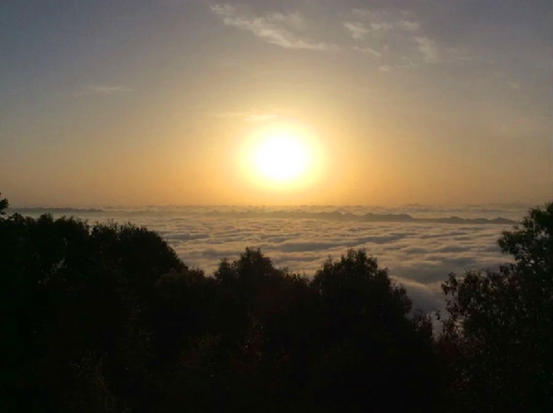 趣观历史|达州一古寺研究生扎堆，平均年龄29岁，父母赶来规劝仍坚持出家